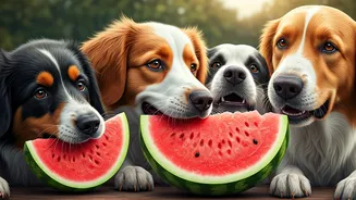 Furry Pups Devouring Cold Frozen Watermelon Slices Rule Pet Feeds