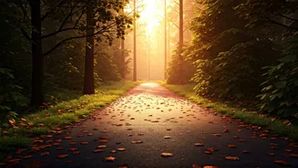 Morning Exercise Gains Massive Popularity