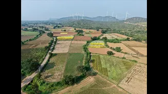 Agricultural Waste: A Key to India's Clean Energy Future