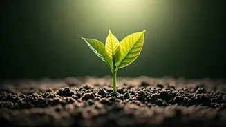 7 Parental Phrases to Avoid with Your Eldest Child for Healthier Family Bonds