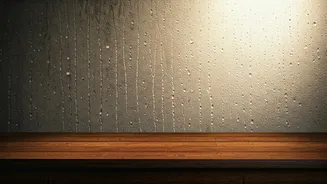 Moisture Fixes Can Save Your Monsoon Home