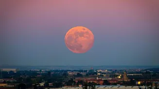 Biggest and brightest supermoon in 6 years rises tomorrow
