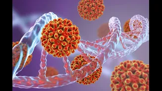 Cura da hepatite B? Com novo antiviral, ciência dá grande passo rumo à eliminação do vírus