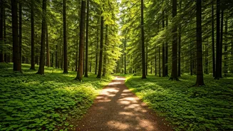 Quick Nature Breaks Are Built For Busy Indians