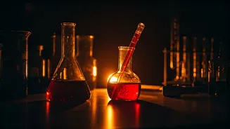 The Sunny Side's Shadow: Risks of Overdoing Vitamin D Supplements in India