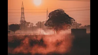 Northwest under heatwave warning: Delhi, Punjab, Haryana, Rajasthan stay in the 40s till Thursday