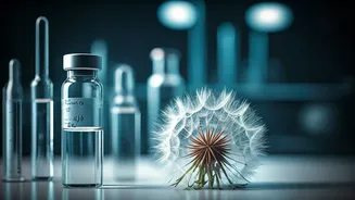 Pregnancy & Weight Loss Drugs: Large Study Offers New Hope Amidst Evolving Safety Data