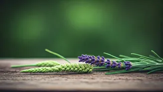 Banish Bugs: 6 Natural Home Remedies to Keep Mosquitoes at Bay