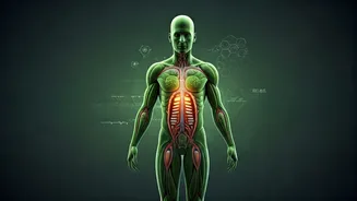 India's Health Crisis: Overweight Population and a Looming Lifestyle Overhaul