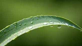 What Works Better In Sticky Monsoon Conditions?