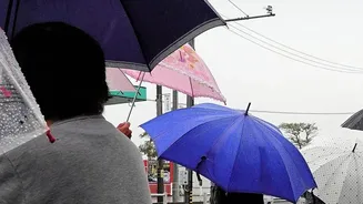 Planning A Monsoon Drying Zone Requires More Than Wet Laundry; Shoes And Umbrellas Also Matters