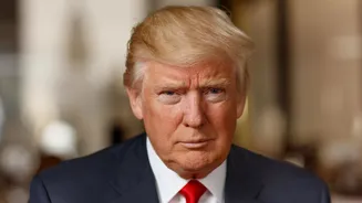 What Is Trump’s Gaza ‘Board Of Peace’? Phase 2 Of US Ceasefire Plan Explained