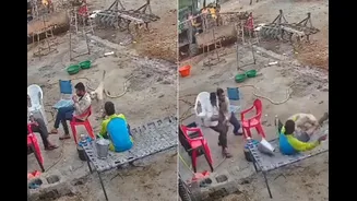 Dog Attacks Multiple People Within 30 Seconds, Viral Video Sparks Panic: 'He Has Rabies For Sure'