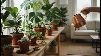 Daily Plant Care Can Create A Gentle Break From Screen-Heavy Routines