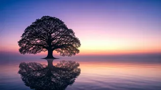 Unlock Inner Peace: Harnessing the Power of the Pre-Dawn Hour for Spiritual Awakening