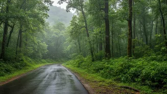 Bangalore To Agumbe Road Trips Guide: Monsoon Safety Tips And Rainforest Photography Highlights