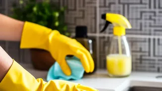 Monsoon Home Hygiene: Preventing Damp Walls And Mould Growth