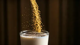 Upgrade Traditional Sattu Shakes With Nutrient Rich Chia Seeds