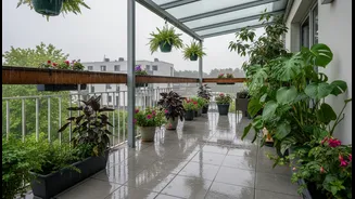 Balcony Hygiene Is Peak Rainy-Season Adulting