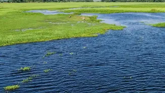 NISAR's Daily Radar Image Release Offers A Closer Look At Wetland Changes