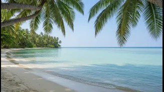 Fewer Stops May Be The Simplest Route To A More Restful Holiday