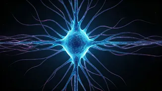 AI's Learning Leap: Embracing Human-Like Adaptation for Smarter Systems