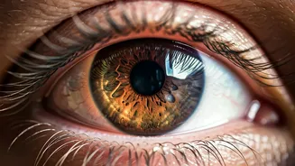 Understanding Low Vision: Causes, Early Signs, and the Power of Timely Detection