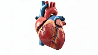 5 Drinks to Boost Heart Health & Fight Artery Plaque