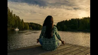 The Mind-Body-Energy Triangle: A New Way To Think About Long-Term Wellness