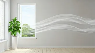 Fresh Rooms Start With Better Moisture Habits