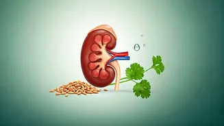 10 Essential Do's and Don'ts for Optimal Kidney Health: A World Kidney Day Guide