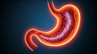 Unmasking Hidden Health: 5 Nutrient Deficiency Signs