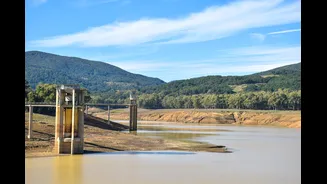 Half of the World's Dams Could Be Inoperable by 2060 Due to Sedimentation