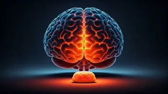How Packaged Diet Snacks Trigger Brain Cravings Misleadingly