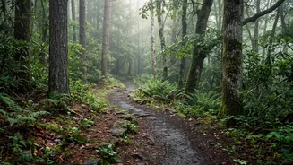 Barefoot Hiking: What Beginners Should Consider Before Trying Barefoot Trails