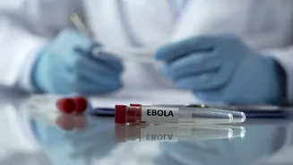 Emergência global: tudo o que se sabe sobre o surto de Ebola