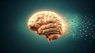 Debunking Stress Myths: Unpacking the Truth About Eustress, Hassles, and Well-being