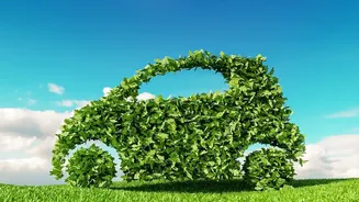 How Scientists Craft Non Flammable EV Batteries From Agricultural Waste Derived Plant Materials