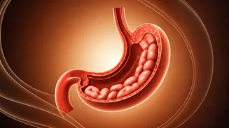 Health Outlook: October 20-26 for Zodiac Signs