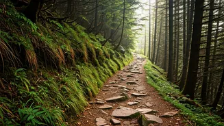 Solo Backpackers Turn Decentralized Map Forums Safe Mountain Travel Paths