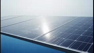 Targets Higher Efficiency And Better Reverse-Bias Performance: A Sign Of Wider Change In Future Solar Panels And Grid-Scale Deployment
