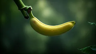 Pregnancy Cravings: Why Divyanka Tripathi's Banana Love is a Healthy Sign