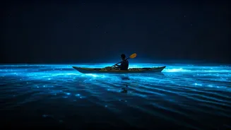 Bioluminescent Nights Are The Real Andaman Secret