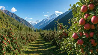 Apple Orchards Turn Harsil Into A Dreamy Escape