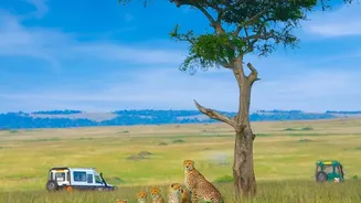 Ranthambore's 40,000-Registration Rush: A Reader Guide To Flexible Safari Dates