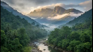 Before You Visit Western Ghats, Read These Tips