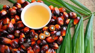 5 traditional dishes featuring palm oil