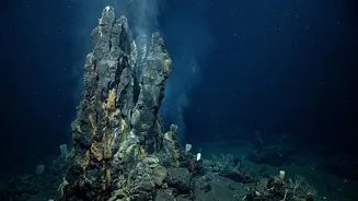Underwater Volcanic Sounds And The Latest Picture On Earlier Alerts