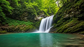 Monsoon Reveals Maharashtra's Best Kept Waterfalls