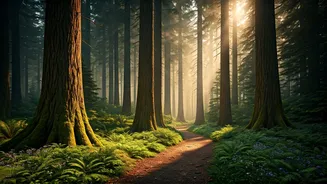 Green Landscapes Turn Short Breaks Into Stories